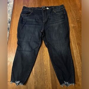 Terra & Sky size 4x jeans new without tags